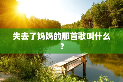 失去了妈妈的那首歌叫什么？