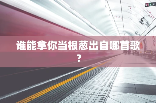 谁能拿你当根葱出自哪首歌？