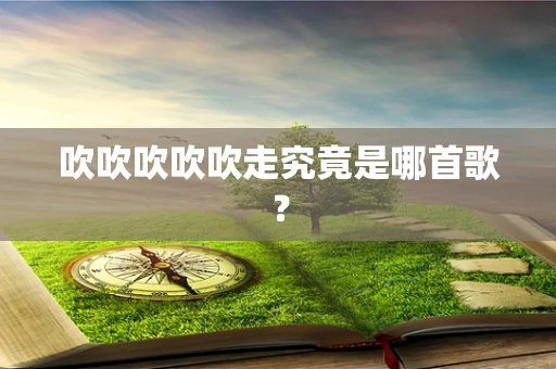 吹吹吹吹吹走究竟是哪首歌？
