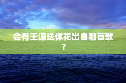 会有王源送你花出自哪首歌？