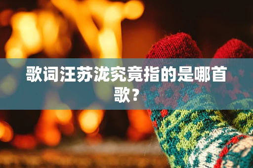 歌词汪苏泷究竟指的是哪首歌？