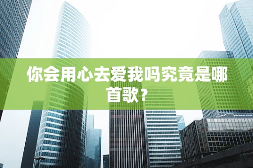 你会用心去爱我吗究竟是哪首歌？