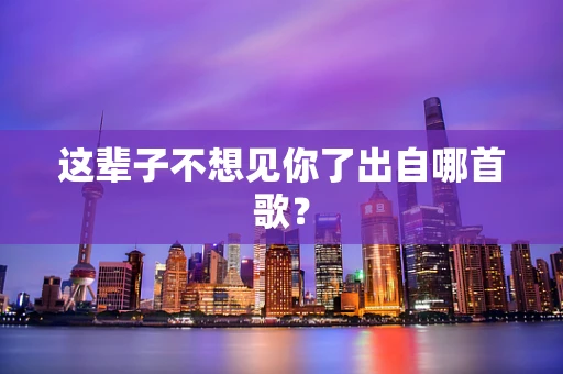 这辈子不想见你了出自哪首歌？