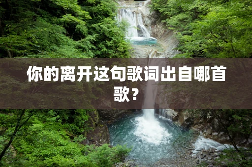 你的离开这句歌词出自哪首歌？