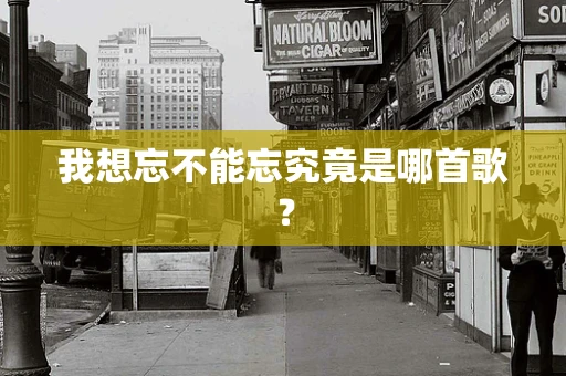 我想忘不能忘究竟是哪首歌？