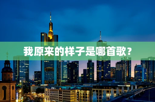 我原来的样子是哪首歌？