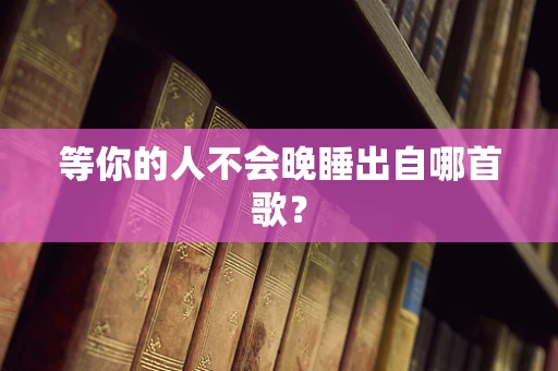 等你的人不会晚睡出自哪首歌？