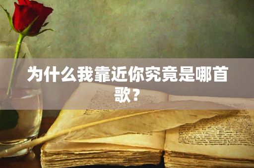 为什么我靠近你究竟是哪首歌？