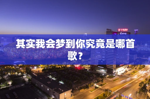 其实我会梦到你究竟是哪首歌？