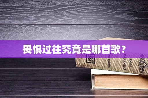 畏惧过往究竟是哪首歌？