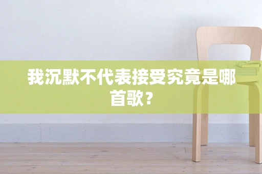 我沉默不代表接受究竟是哪首歌？