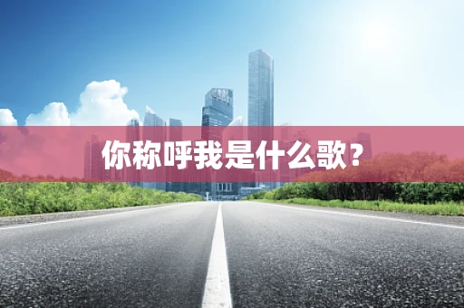 你称呼我是什么歌？