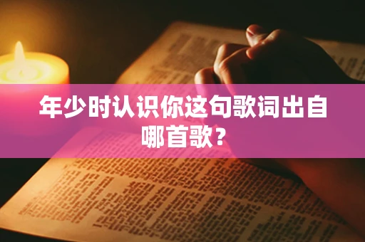 年少时认识你这句歌词出自哪首歌？