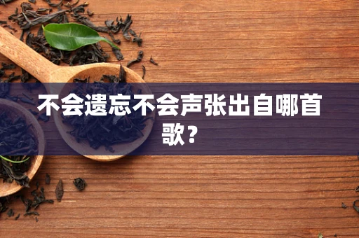 不会遗忘不会声张出自哪首歌？