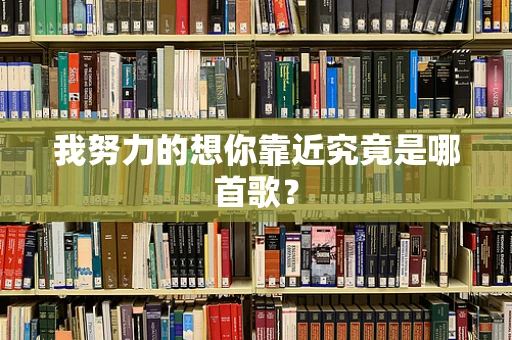 我努力的想你靠近究竟是哪首歌？