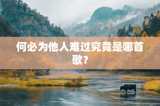何必为他人难过究竟是哪首歌？