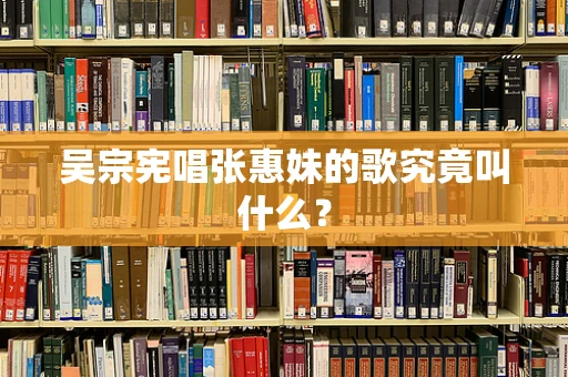 吴宗宪唱张惠妹的歌究竟叫什么？