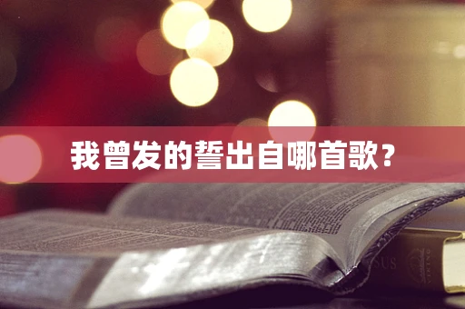 我曾发的誓出自哪首歌？