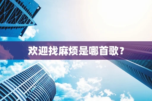 欢迎找麻烦是哪首歌？