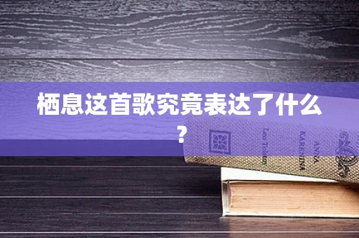 栖息这首歌究竟表达了什么？