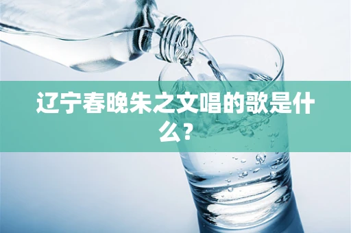 辽宁春晚朱之文唱的歌是什么？