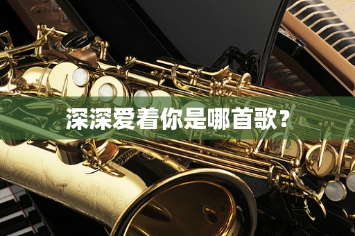 深深爱着你是哪首歌？