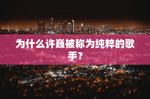 为什么许巍被称为纯粹的歌手？