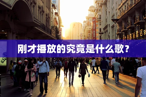 刚才播放的究竟是什么歌？