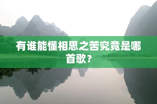 有谁能懂相思之苦究竟是哪首歌？
