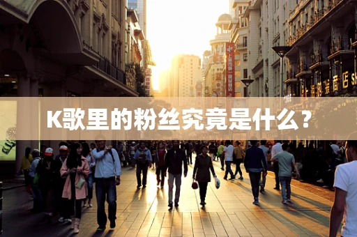 K歌里的粉丝究竟是什么？