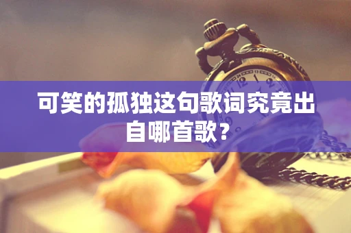 可笑的孤独这句歌词究竟出自哪首歌？