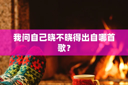 我问自己晓不晓得出自哪首歌？