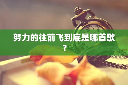 努力的往前飞到底是哪首歌？