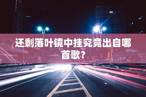 还剩落叶镜中挂究竟出自哪首歌？
