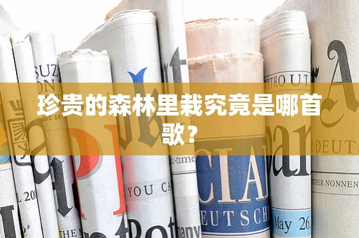 珍贵的森林里栽究竟是哪首歌？