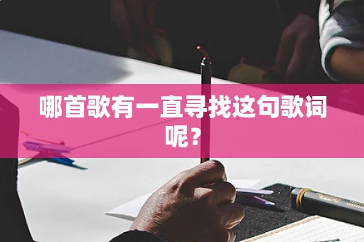 哪首歌有一直寻找这句歌词呢？