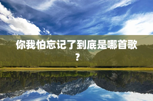你我怕忘记了到底是哪首歌？
