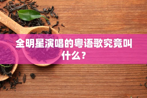 全明星演唱的粤语歌究竟叫什么？