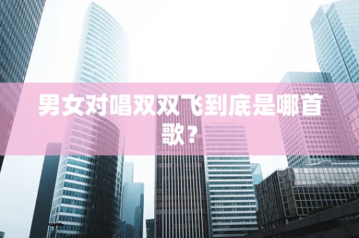 男女对唱双双飞到底是哪首歌？