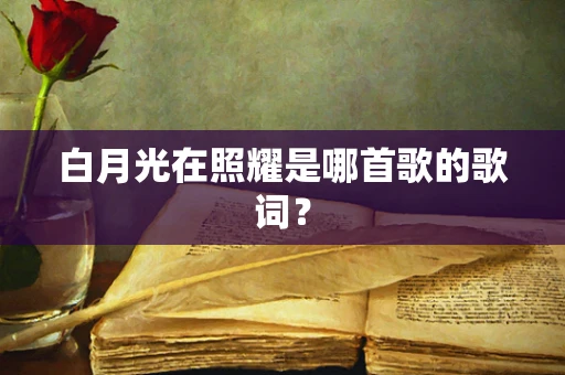 白月光在照耀是哪首歌的歌词？