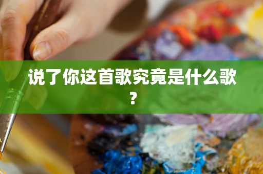 说了你这首歌究竟是什么歌？