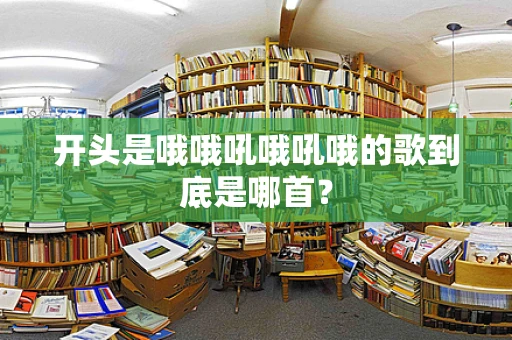开头是哦哦吼哦吼哦的歌到底是哪首？