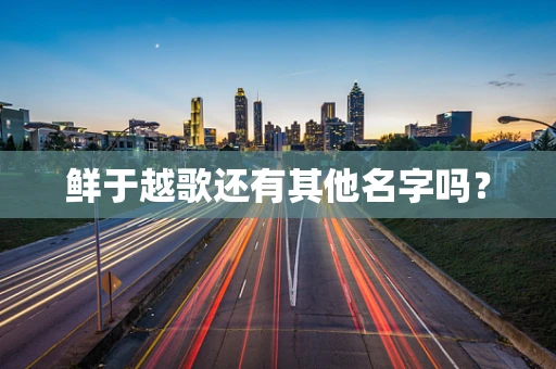 鲜于越歌还有其他名字吗？