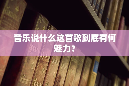 音乐说什么这首歌到底有何魅力？