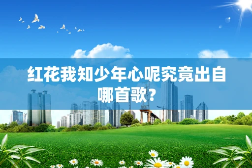 红花我知少年心呢究竟出自哪首歌？