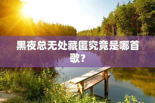 黑夜总无处藏匿究竟是哪首歌？