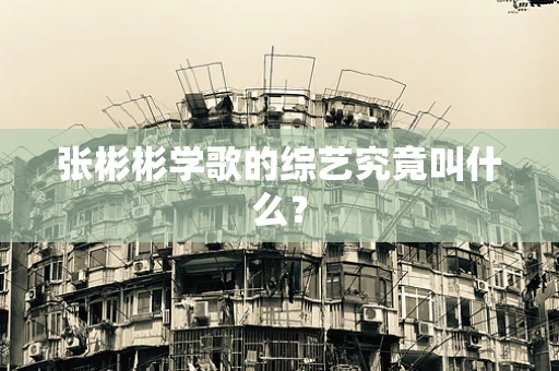 张彬彬学歌的综艺究竟叫什么？