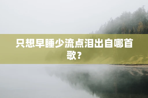 只想早睡少流点泪出自哪首歌？