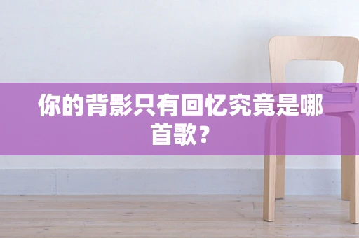 你的背影只有回忆究竟是哪首歌？