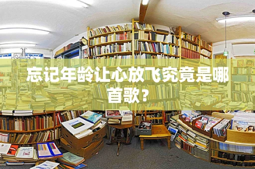 忘记年龄让心放飞究竟是哪首歌？